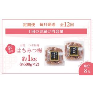 ふるさと納税 加工品等 梅干 和歌山県 和歌山...の詳細画像2
