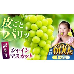 ふるさと納税 ぶどう マスカット 熊本県 山鹿...の詳細画像1