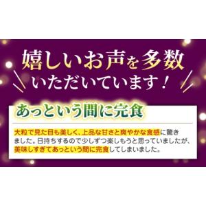 ふるさと納税 ぶどう マスカット 熊本県 山鹿...の詳細画像3