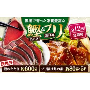 ふるさと納税 カツオ 高知県 高知市 12回定...の詳細画像1