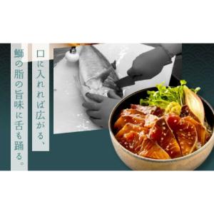 ふるさと納税 カツオ 高知県 高知市 12回定...の詳細画像4