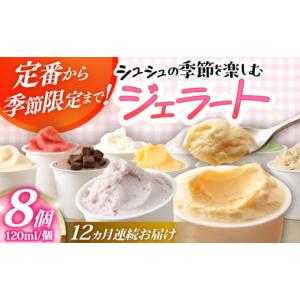 ふるさと納税 アイス・ヨーグルト ジェラート 長崎県 大村市 12回定期便 シュシュ 季節のジェラート8個セット ／ アイス アイスクリーム ジェラート スイーツ…