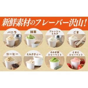 ふるさと納税 アイス・ヨーグルト ジェラート ...の詳細画像3