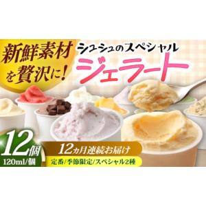 ふるさと納税 アイス・ヨーグルト ジェラート 長崎県 大村市 12回定期便 シュシュのスペシャルジェラート12個セット（定番／季節限定／スペシャル2種） ／ ア…