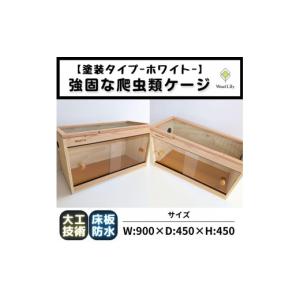 ふるさと納税 生き物 滋賀県 甲賀市 強固な爬...の詳細画像1