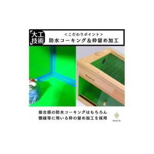 ふるさと納税 生き物 滋賀県 甲賀市 強固な爬...の詳細画像4