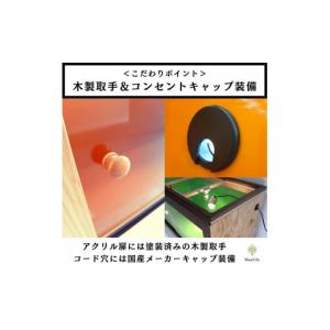 ふるさと納税 生き物 滋賀県 甲賀市 強固な爬...の詳細画像5
