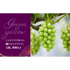 ふるさと納税 果物類 ぶどう 愛媛県 内子町 ...の詳細画像4