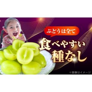 ふるさと納税 果物類 ぶどう 愛媛県 内子町 ...の詳細画像5