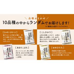 ふるさと納税 米 コシヒカリ 茨城県 境町 ラ...の詳細画像2