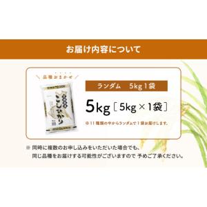 ふるさと納税 米 コシヒカリ 茨城県 境町 ラ...の詳細画像5