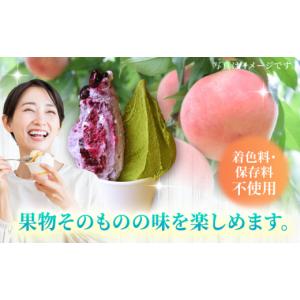 ふるさと納税 アイス・ヨーグルト ジェラート ...の詳細画像3