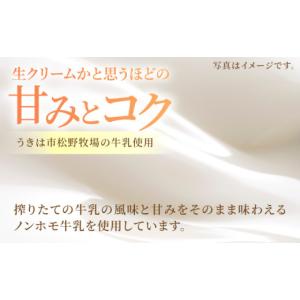ふるさと納税 アイス・ヨーグルト ジェラート ...の詳細画像5