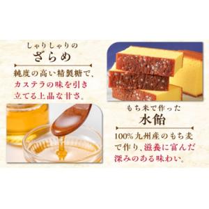 ふるさと納税 菓子 カステラ 長崎県 長与町 ...の詳細画像3