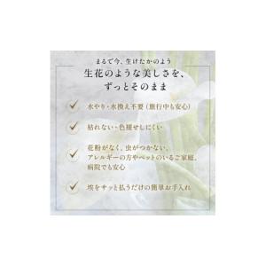 ふるさと納税 雑貨・日用品 花 三重県 名張市...の詳細画像3
