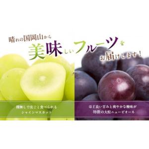 ふるさと納税 ぶどう マスカット 岡山県 玉野...の詳細画像2