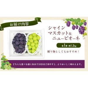 ふるさと納税 ぶどう マスカット 岡山県 玉野...の詳細画像3