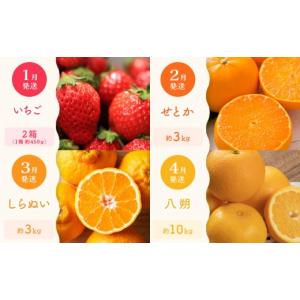 ふるさと納税 果物の詰合せ 香川県 高松市 定...の詳細画像2