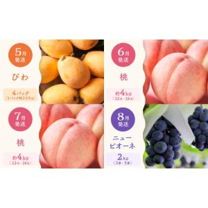 ふるさと納税 果物の詰合せ 香川県 高松市 定...の詳細画像3