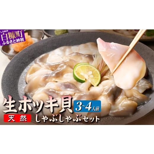 ふるさと納税 魚貝類 北海道 白糠町 北海道 天然 生 ホッキ貝 しゃぶしゃぶ セット 選べる 3〜...