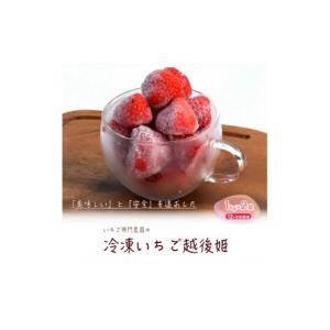 ふるさと納税 いちご 新潟県 上越市 冷凍いち...の詳細画像1