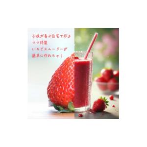 ふるさと納税 いちご 新潟県 上越市 冷凍いち...の詳細画像2