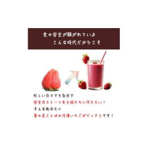 ふるさと納税 いちご 新潟県 上越市 冷凍いち...の詳細画像3