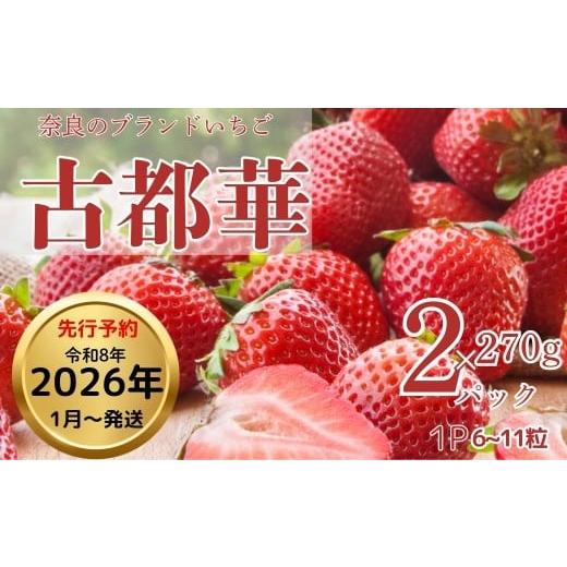 ふるさと納税 いちご 奈良県 奈良市 奈良ブランド苺 古都華 270g×2パック（数量限定 予約販売...
