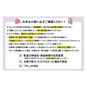 ふるさと納税 もも 山梨県 韮崎市 2026年...の詳細画像3