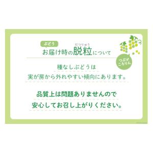 ふるさと納税 もも 山梨県 韮崎市 2026年...の詳細画像4