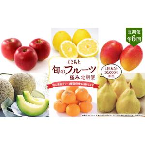 ふるさと納税 いちご 熊本県 - 年6回定期便 くまもと 旬のフルーツ極み 定期便 (2)