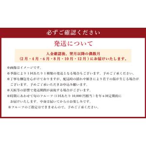 ふるさと納税 いちご 熊本県 - 年6回定期便...の詳細画像3