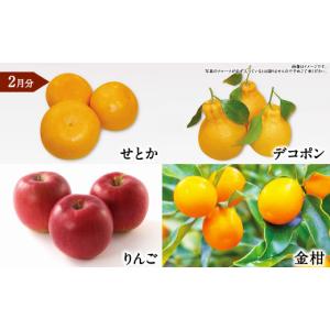 ふるさと納税 いちご 熊本県 - 年6回定期便...の詳細画像4