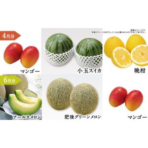 ふるさと納税 いちご 熊本県 - 年6回定期便...の詳細画像5