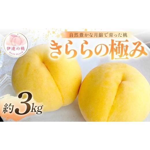 ふるさと納税 もも 福島県 伊達市  2026年出荷分先行予約 福島県産 きららの極み 約3kg (...