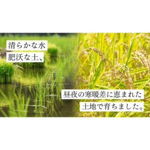 ふるさと納税 米 茨城県 桜川市 《 令和8年...の詳細画像3