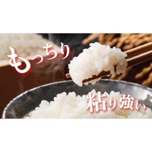 ふるさと納税 米 茨城県 桜川市 《 令和8年...の詳細画像4