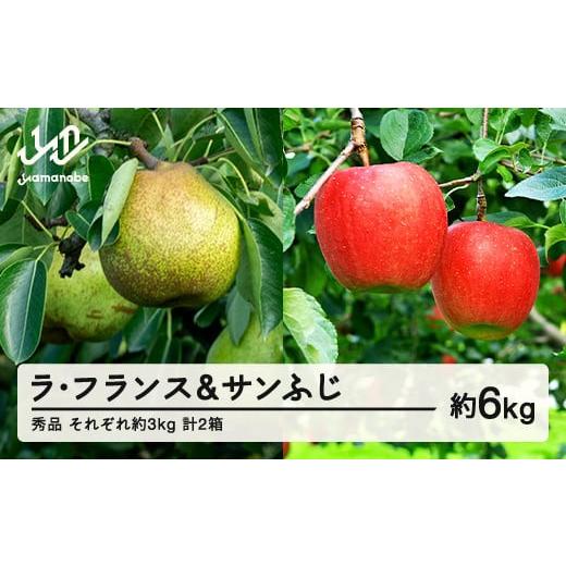 ふるさと納税 梨 山形県 山辺町  先行予約 フランス サンふじセット 約6kg 各約3kg(6~1...