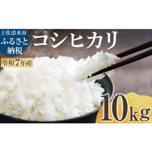ふるさと納税 米 コシヒカリ 高知県 土佐清水市 令和7年産 新米 コシヒカリ 精米 10kg 白米...