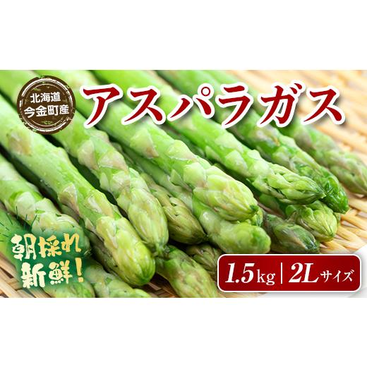ふるさと納税 野菜類 アスパラガス 北海道 今金町  先行予約 朝採れ新鮮アスパラ 1.5kg（２L...