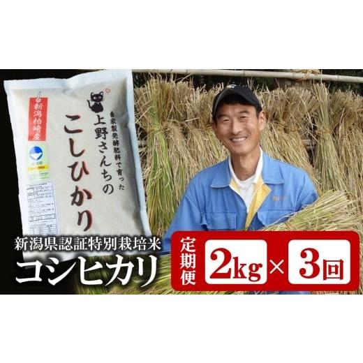ふるさと納税 米 コシヒカリ 新潟県 柏崎市 先行予約 令和7年産米・3ヶ月定期便・1月〜発送 コシ...