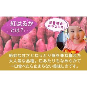 ふるさと納税 干し芋 茨城県 龍ケ崎市 訳あり...の詳細画像5
