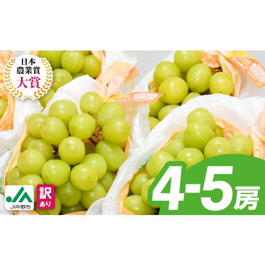 ふるさと納税 ぶどう 長野県 中野市  2026年発送 JA中野市直送　訳ありシャインマスカット2....