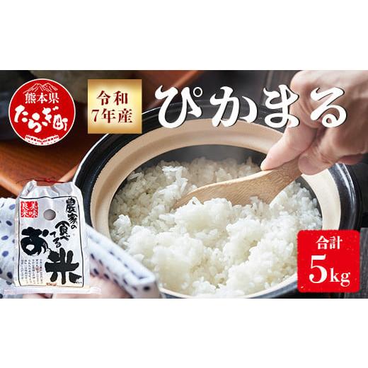 ふるさと納税 米 熊本県 多良木町 令和7年産 新米 先行予約 多良木町産 ぴかまる 5kg （ 令...