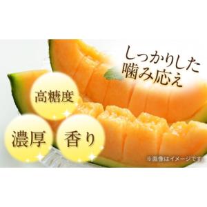 ふるさと納税 メロン メロン赤肉 長崎県 南島...の詳細画像2