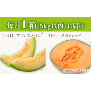 ふるさと納税 メロン メロン赤肉 長崎県 南島...の詳細画像5