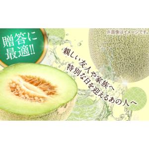 ふるさと納税 メロン メロン赤肉 長崎県 南島...の詳細画像3