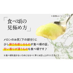 ふるさと納税 メロン メロン赤肉 長崎県 南島...の詳細画像4