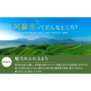 ふるさと納税 雑貨・日用品 熊本県 阿蘇市 篝...の詳細画像5