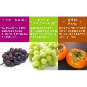 ふるさと納税 いちご 香川県 綾川町 フルーツ...の詳細画像5